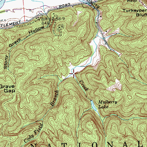 Topographic Map of Cody Field Branch, TN