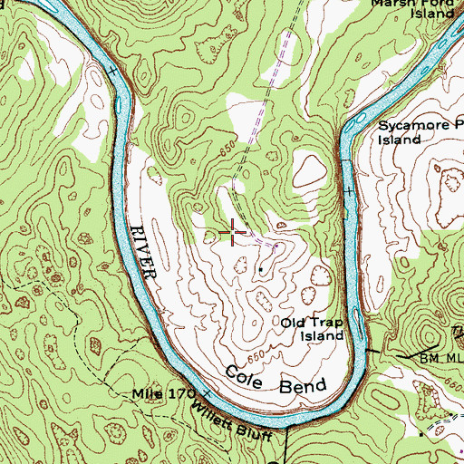 Topographic Map of Cole Bend, TN