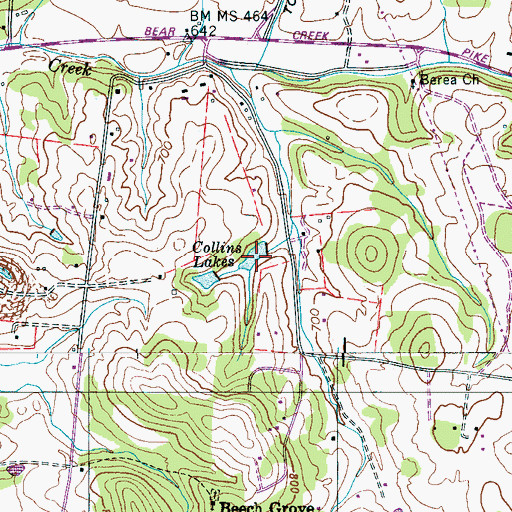 Topographic Map of Collins Lakes, TN