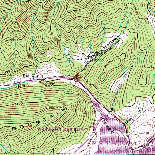 Topographic Map of Cook Hollow, TN