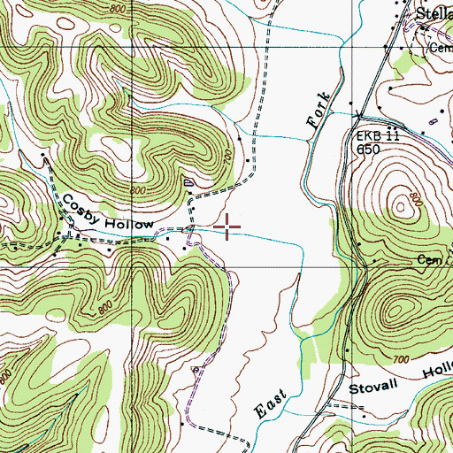 Topographic Map of Cosby Hollow, TN