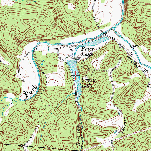 Topographic Map of Craig Lake, TN