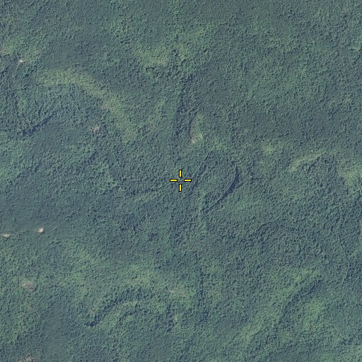 Aerial/Satellite Image of Crooked Branch, TN
