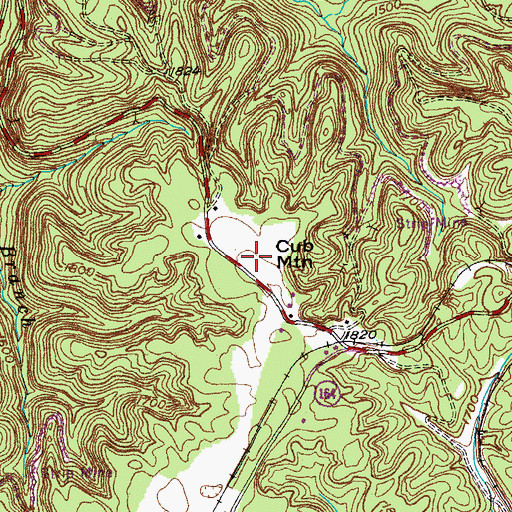 Topographic Map of Cub Mountain, TN