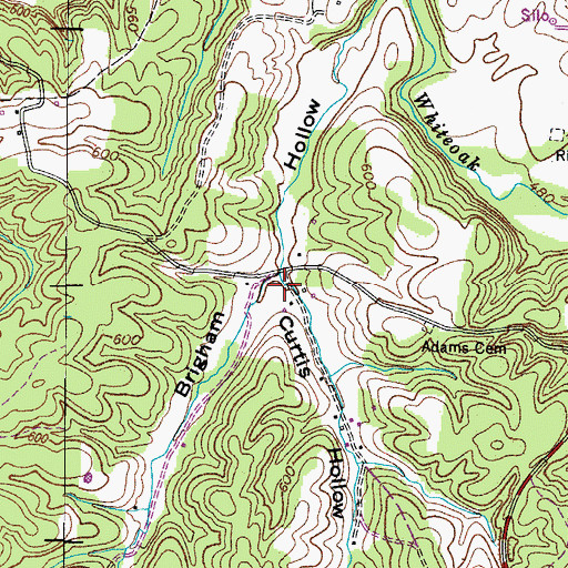 Topographic Map of Curtis Hollow, TN