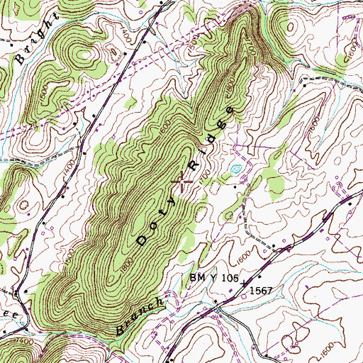 Topographic Map of Doty Ridge, TN