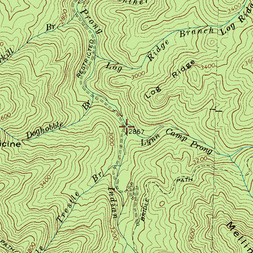 Topographic Map of Double Trestle Branch, TN