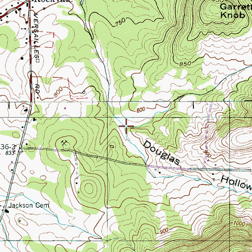 Topographic Map of Douglas Hollow, TN