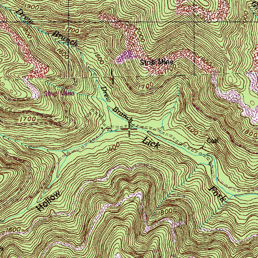 Topographic Map of Drew Branch, TN