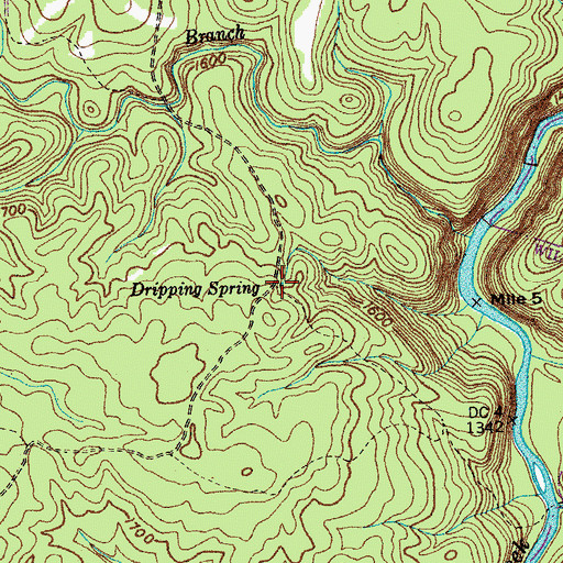 Topographic Map of Dripping Spring, TN