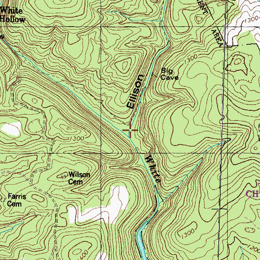 Topographic Map of Ellison Hollow, TN