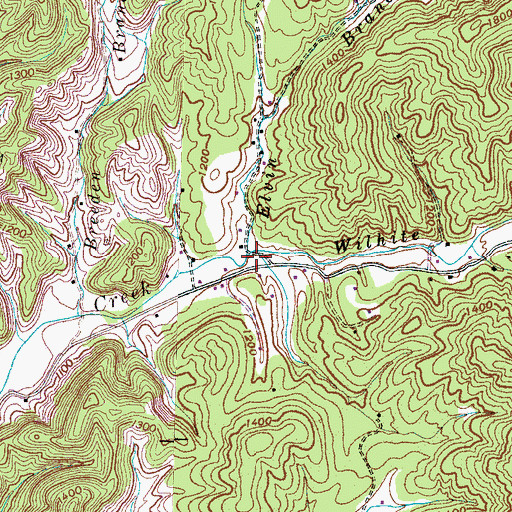 Topographic Map of Elvin Branch, TN