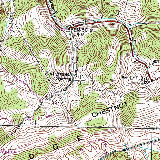 Fall Branch Spring, TN