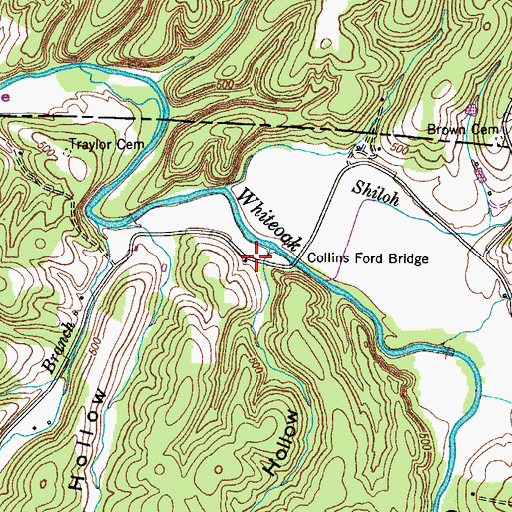 Topographic Map of Flat Ford Hollow, TN