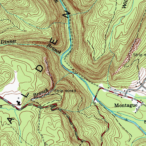 Topographic Map of Flora Branch, TN
