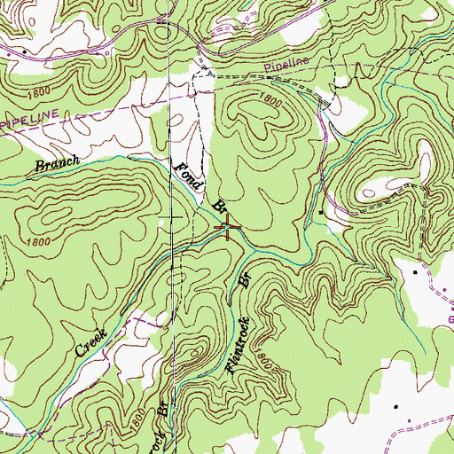 Topographic Map of Fond Branch, TN