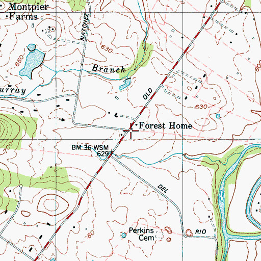 Topographic Map of Forest Home, TN