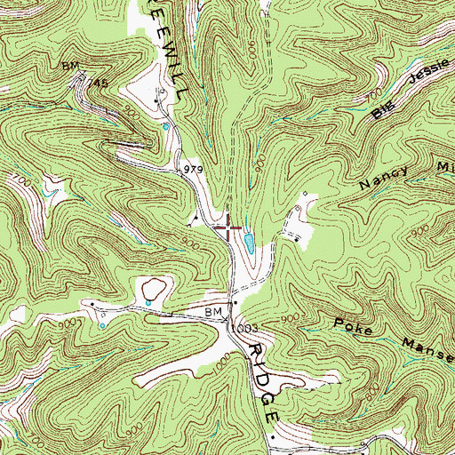 Topographic Map of Freewill Ridge, TN