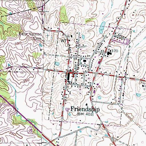 Topographic Map of Friendship, TN