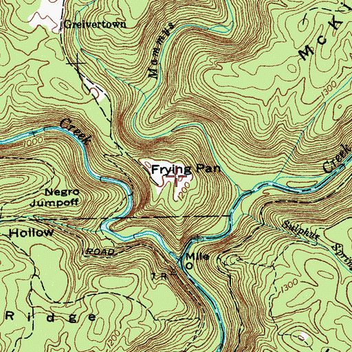 Topographic Map of Frying Pan, TN