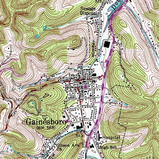 Topographic Map of Gainesboro, TN