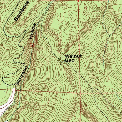 Topographic Map of Walnut Gap, AL