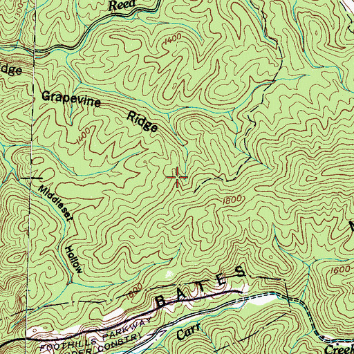Topographic Map of Grapevine Ridge, TN