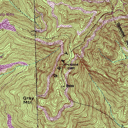 Topographic Map of Gray Mountain, TN