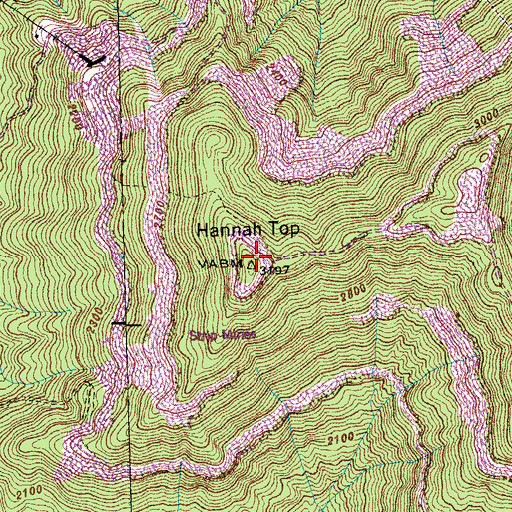 Topographic Map of Hannah Top, TN