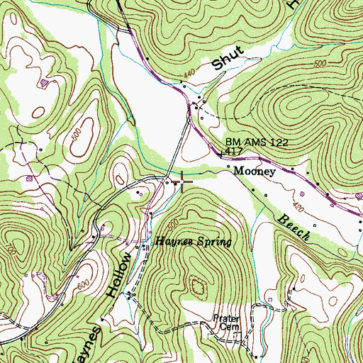Topographic Map of Haynes Hollow, TN