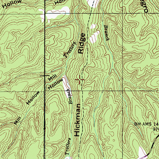 Topographic Map of Hickman Ridge, TN