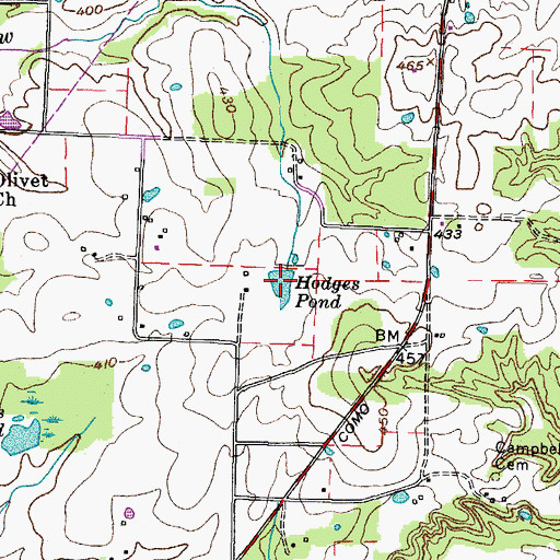 Topographic Map of Hodgers Pond, TN