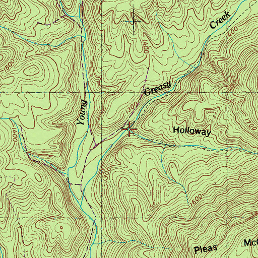 Topographic Map of Holloway Hollow, TN