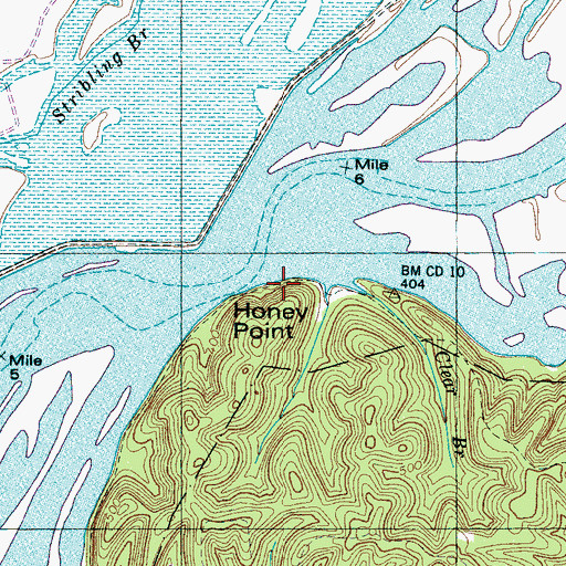 Topographic Map of Honey Point, TN
