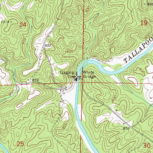 Topographic Map of White Bridge, AL