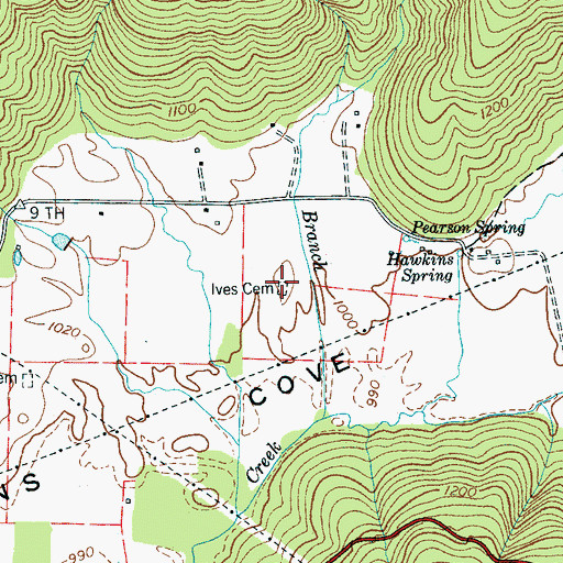 Topographic Map of Ives Cemetery, TN