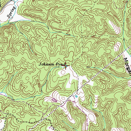Topographic Map of Johnson Pond, TN