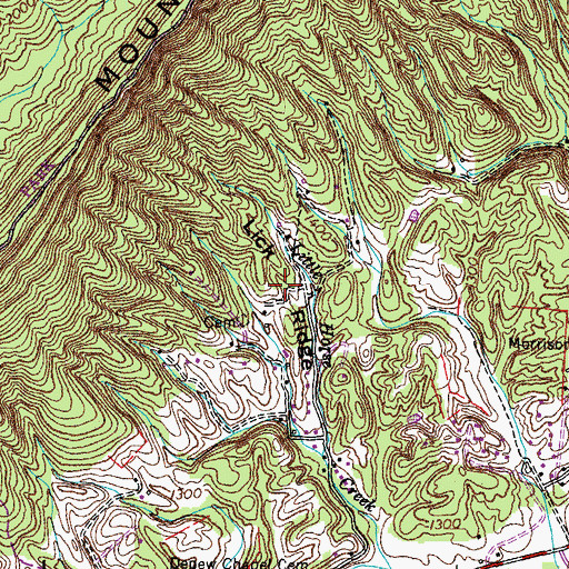 Topographic Map of Lick Ridge, TN