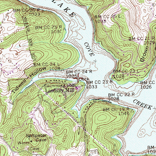 Topographic Map of Lindsay Mill Dock, TN