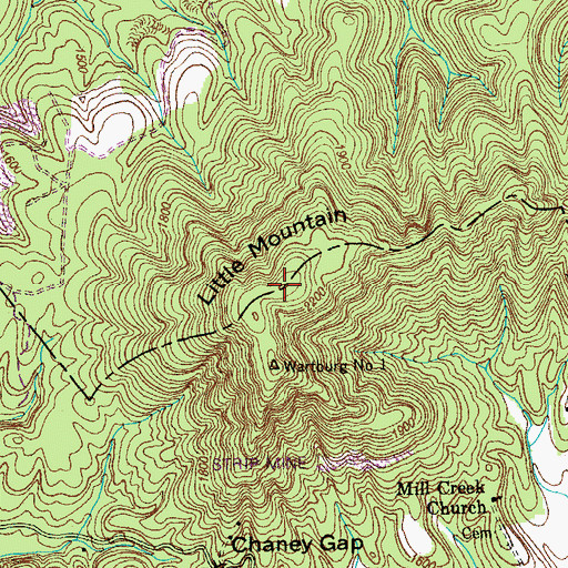 Topographic Map of Little Mountain, TN