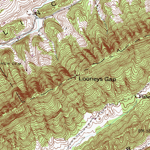 Topographic Map of Looneys Gap, TN