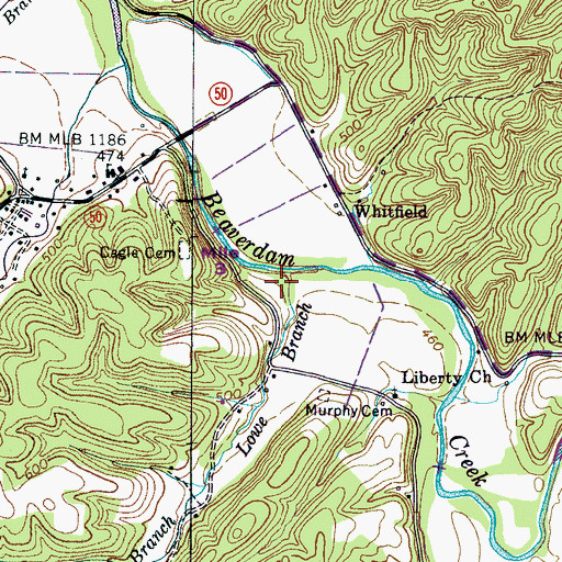 Topographic Map of Lowe Branch, TN