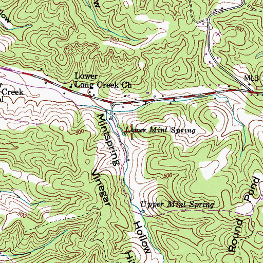 Topographic Map of Lower Mint Spring, TN