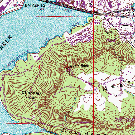 Topographic Map of Wyeth Rock, AL