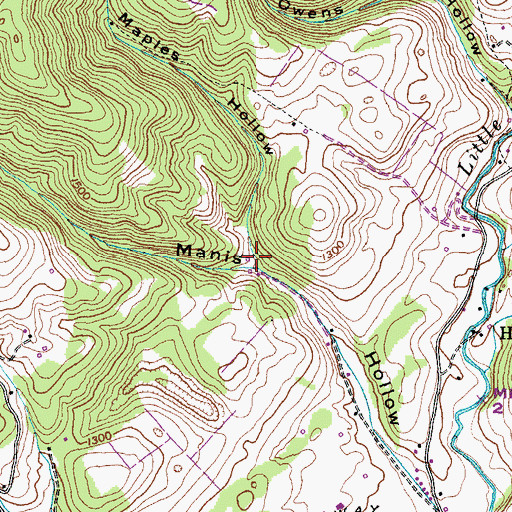 Topographic Map of Maples Hollow, TN