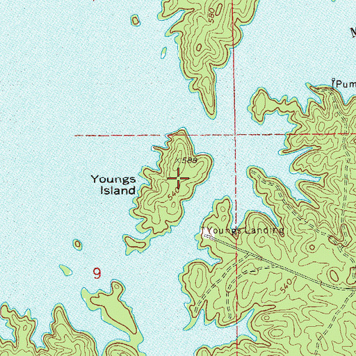 Topographic Map of Youngs Island, AL