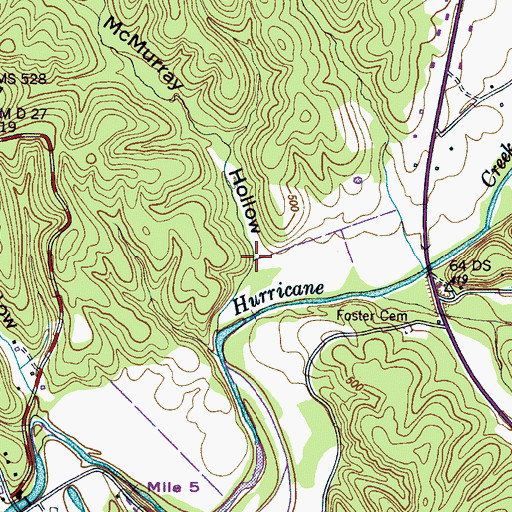 Topographic Map of McMurray Hollow, TN
