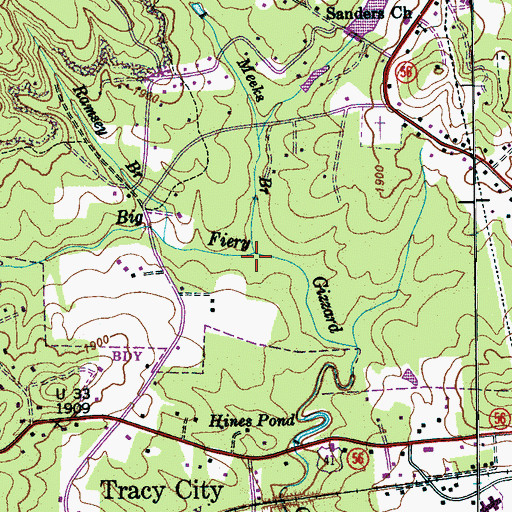 Topographic Map of Meeks Branch, TN