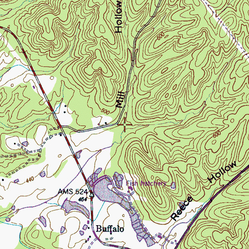 Topographic Map of Mill Hollow, TN
