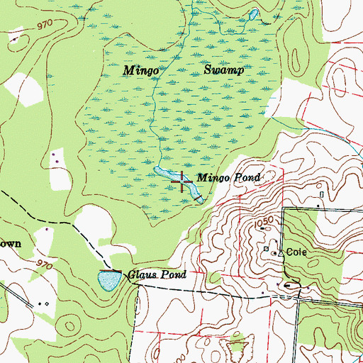Topographic Map of Mingo Pond, TN
